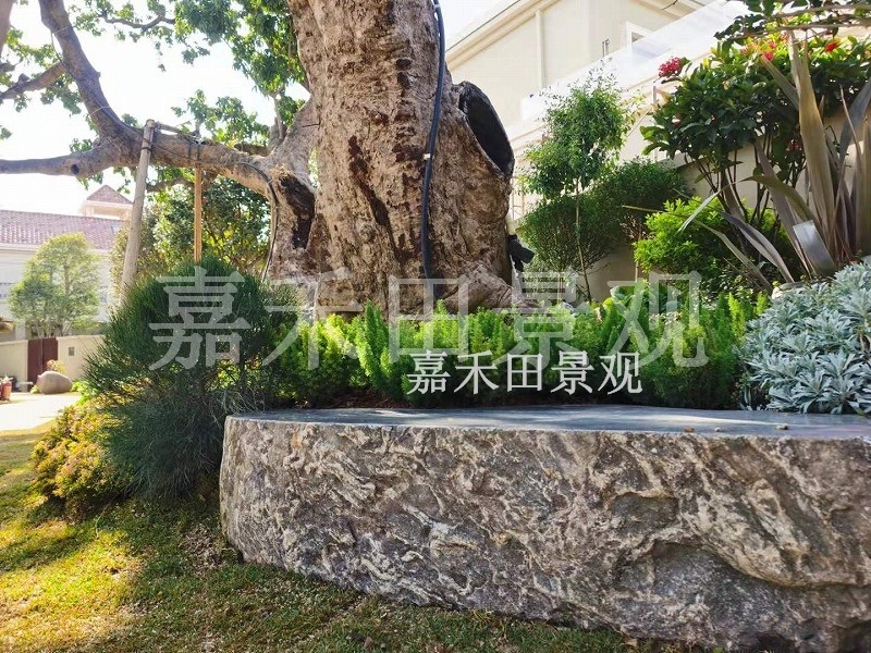 樹木在園林景觀設(shè)計(jì)中有哪些作用？